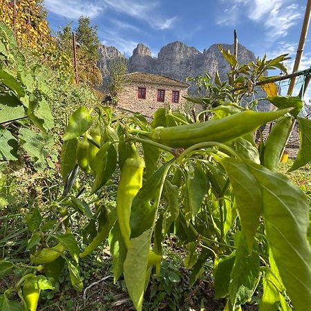 Morfeas Guesthouse Papigko Bagian luar foto