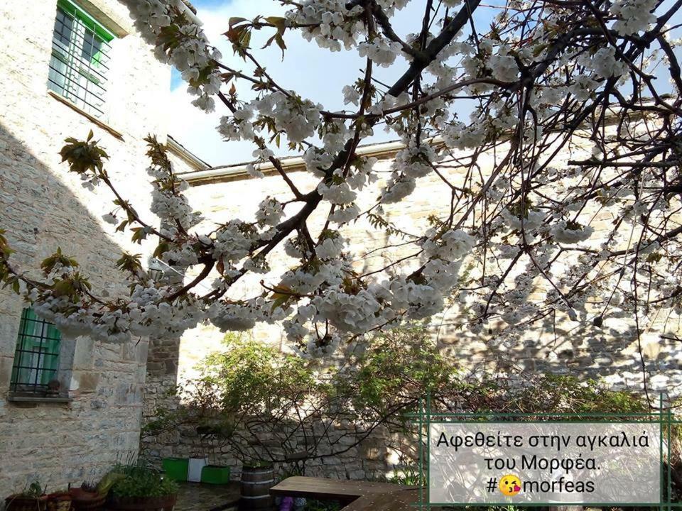 Morfeas Guesthouse Papigko Bagian luar foto