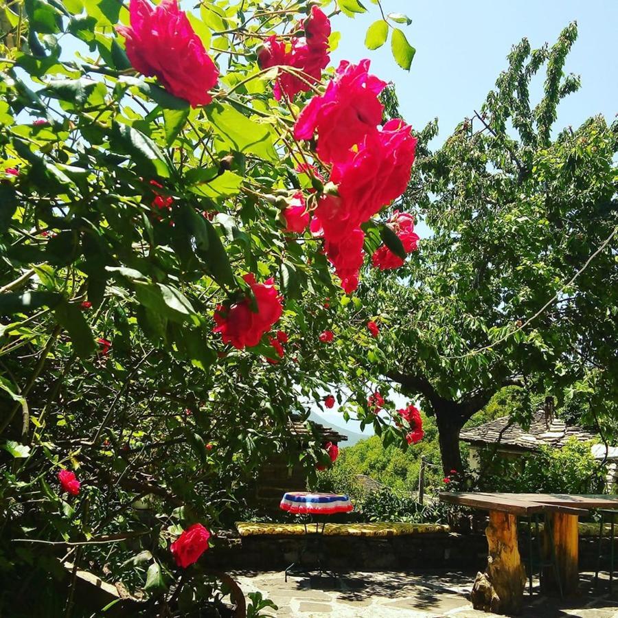 Morfeas Guesthouse Papigko Bagian luar foto