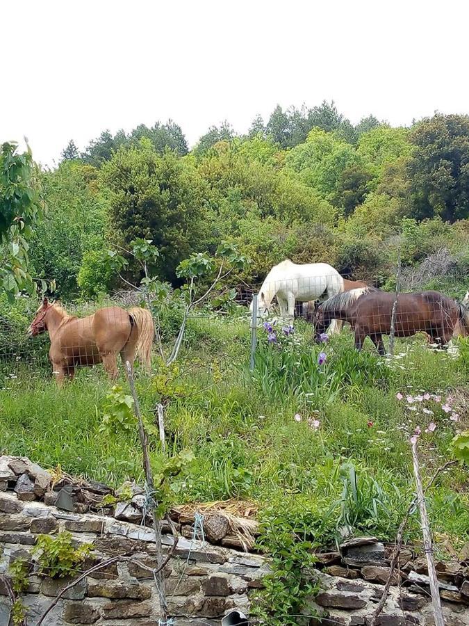 Morfeas Guesthouse Papigko Bagian luar foto